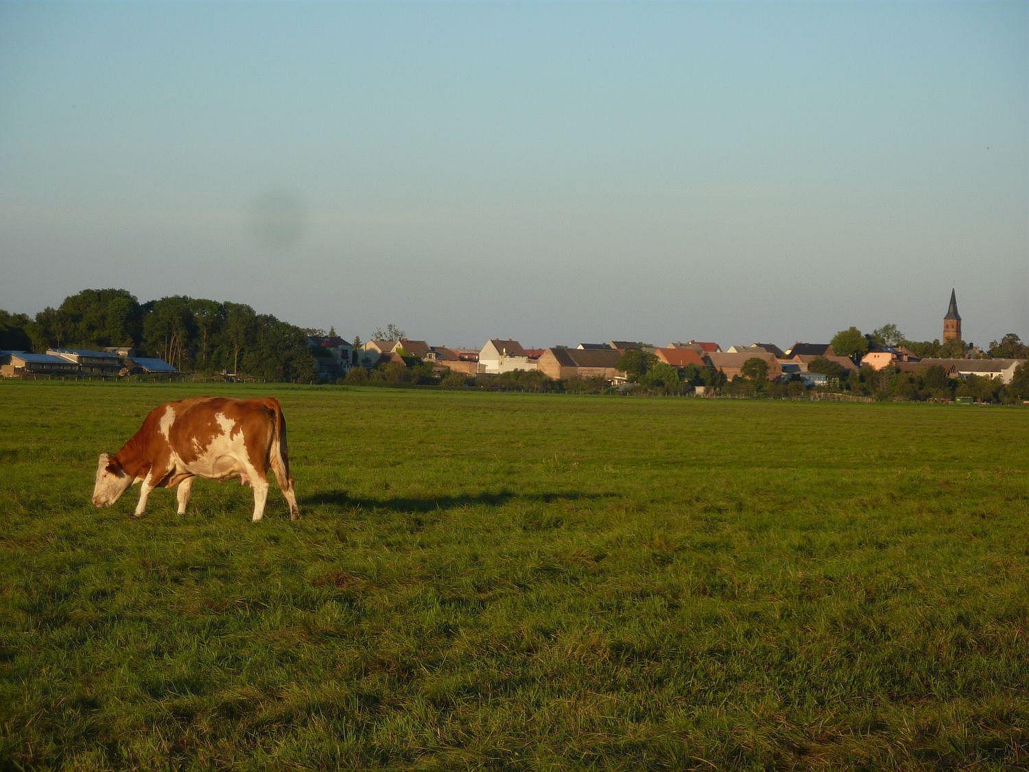 Ferienwohnung Zallnerhof Am Elberadweg In Steutz Zewnętrze zdjęcie